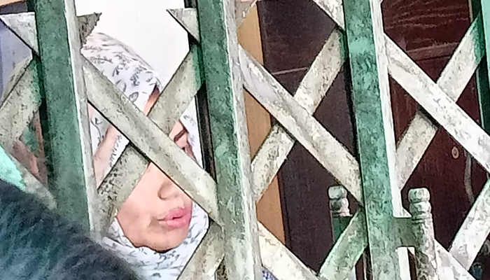 নিরাপত্তা হীনতায় ভুগছেন আফরোজা আব্বাস
