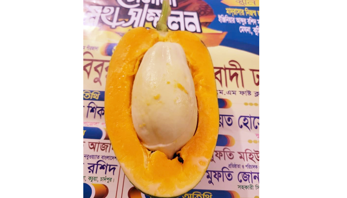 মেঘনায় পাঁকা পেঁপের ভিতর মিললো কাঁচা পেঁপে!
