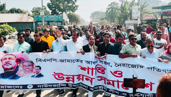নির্বাচন এলে বিদেশি তৎপরতা, এ যেন মায়ের চেয়ে মাসির দরদ বেশি
