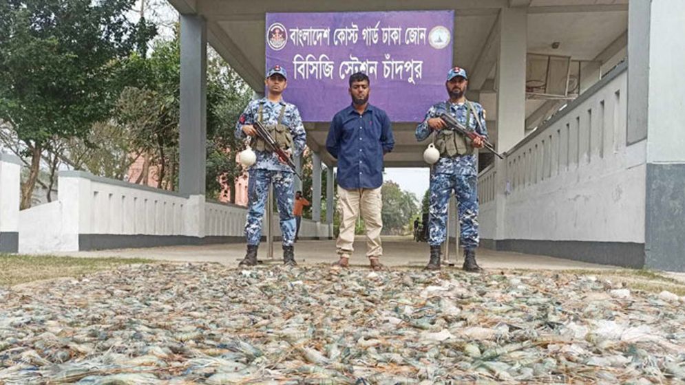 মাটিচাপা দেয়া হলো ৩৬০ কেজি বিষাক্ত চিংড়ি