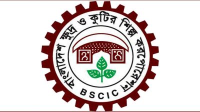 বিসিকের নারী উদ্যোক্তা উন্নয়ন প্রশিক্ষণের সুযোগ