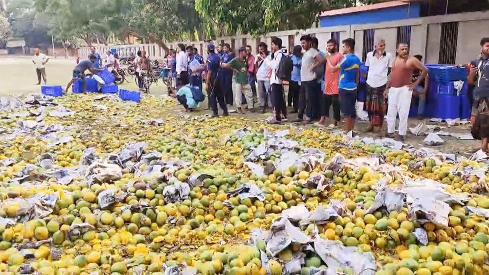 সাতক্ষীরায় রাসায়নিক দিয়ে পাকানো ৯ মেট্রিক টন আম বিনষ্ট
