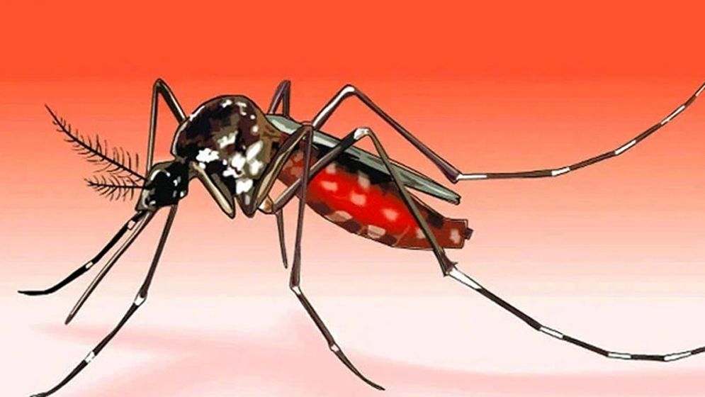 একদিনে ডেঙ্গুতে ৩ জনের মৃত্যু