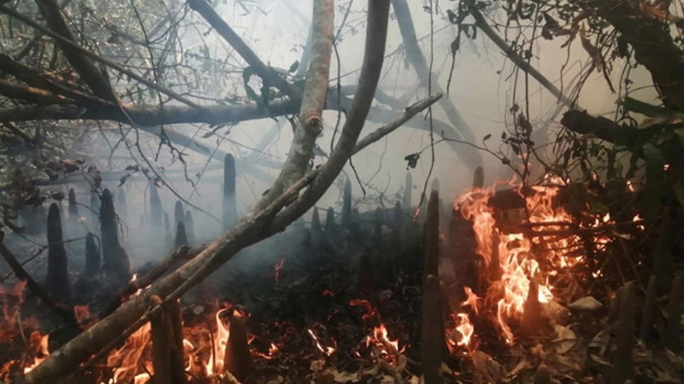 সুন্দরবনে চলছে আগুন নেভানোর কাজ