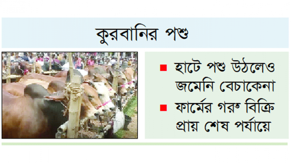 পশুর দাম চড়া ক্রেতা কম