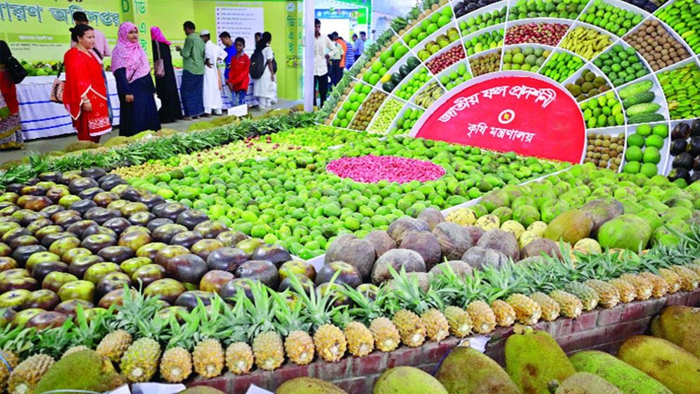 জাতীয় ফল মেলা শুরু হচ্ছে বৃহস্পতিবার