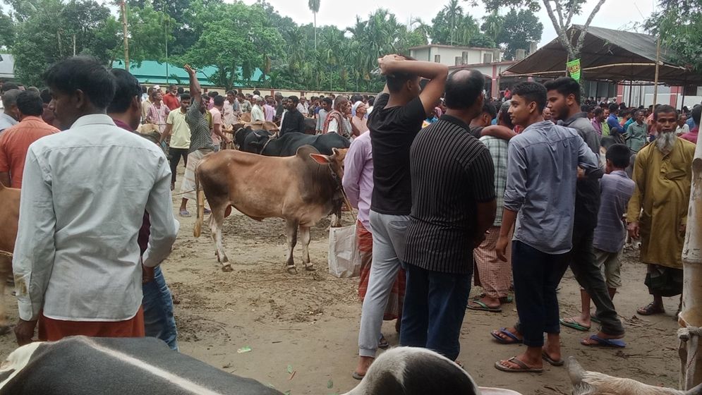 অনুমোদনহীন পশুর হাট বসানোয় ডিএসসিসির জরিমানা