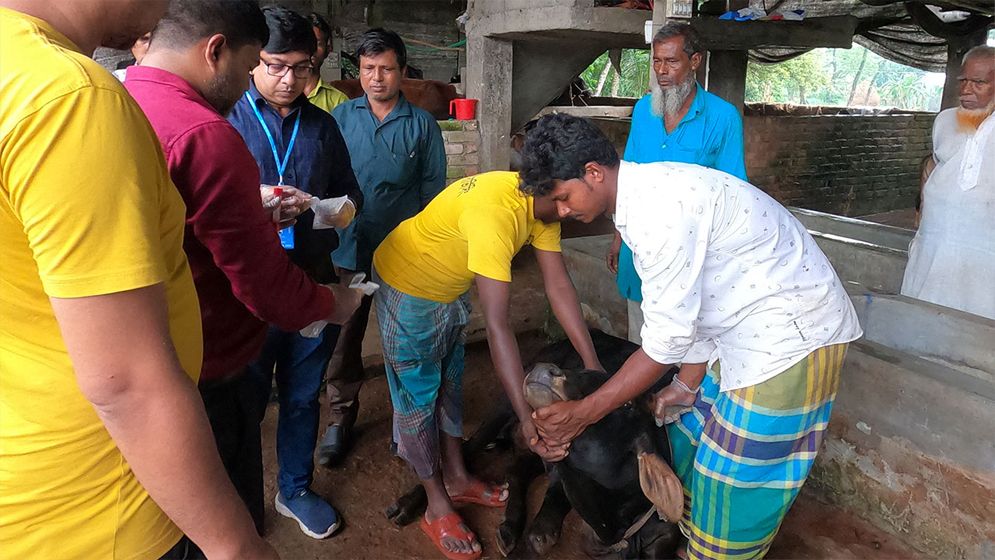 ২৭ গরুর মৃত্যু, নমুনা সংগ্রহ তদন্ত দলের