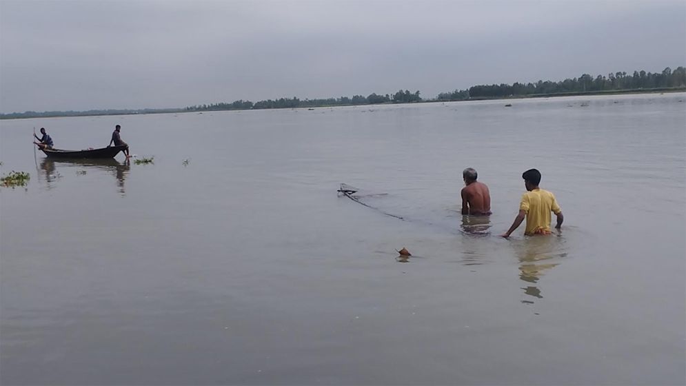 কুড়িগ্রামে বন্যা: পানির নিচে ফসলি জমি
