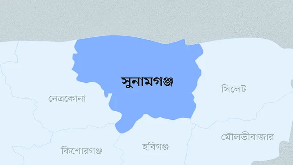 পরাজিত প্রার্থীর ওপর হামলা, পদক্ষেপ নিতে ইসির নির্দেশ