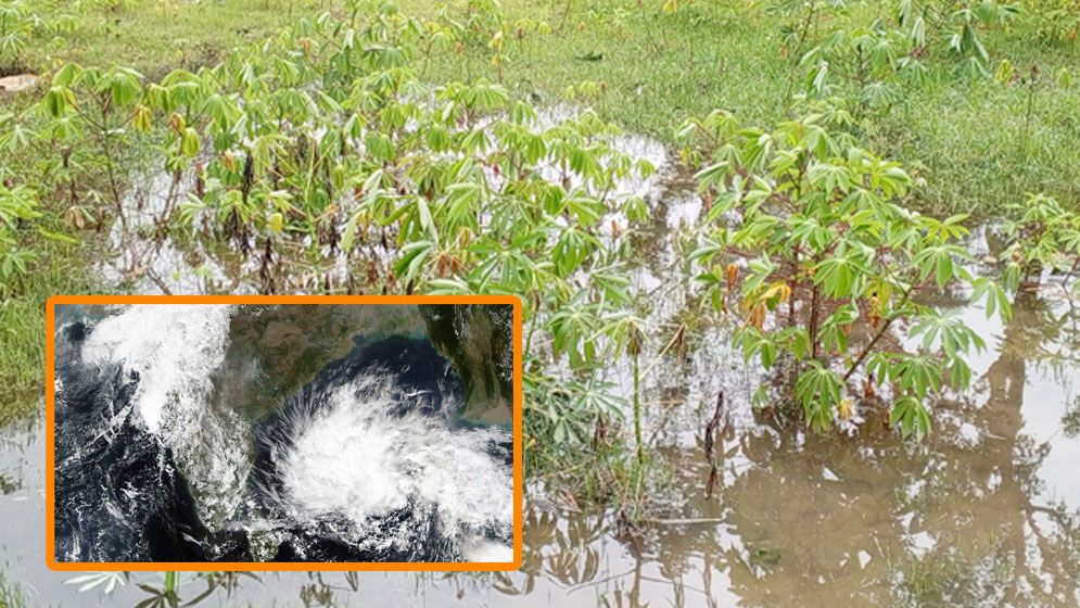 ঘূর্ণিঝড় রেমালে কৃষিতে ১ হাজার ৫৯ কোটি টাকার ক্ষতি