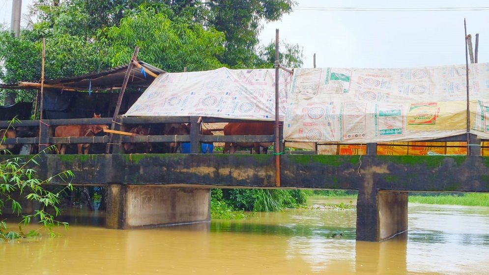 জুড়ীতে ভয়াবহ বন্যা; পানিতে ভাসছে গ্রামের পর গ্রাম
