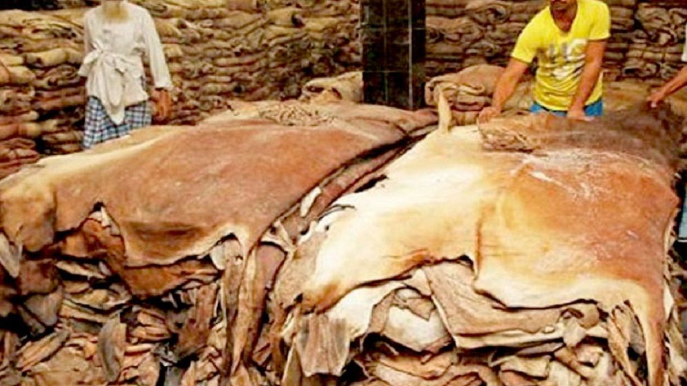 কুরবানির পশুর চামড়ার দাম নির্ধারণ