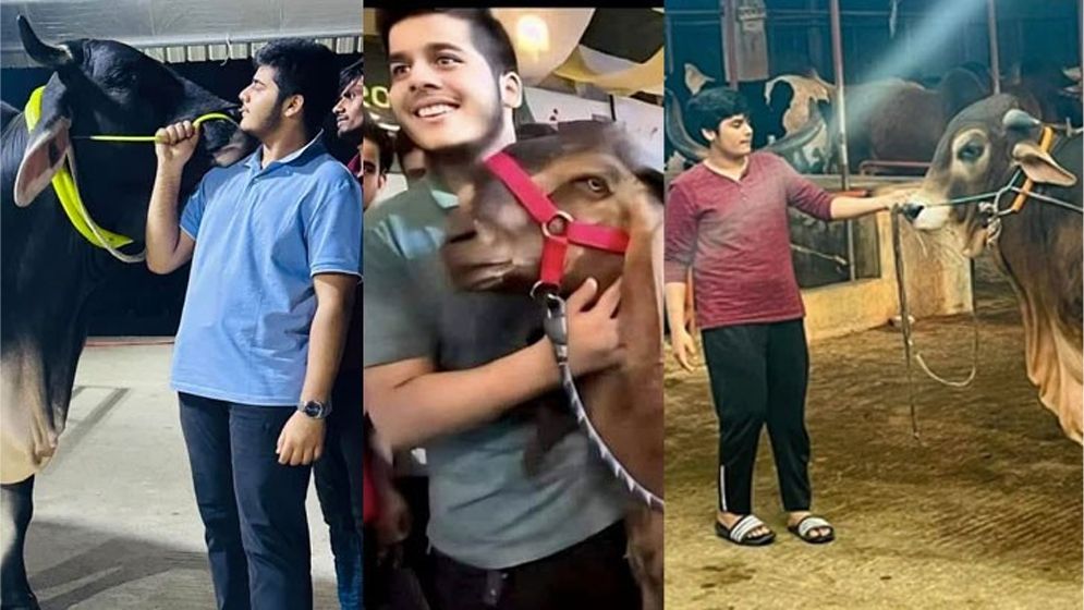 গত বছরও ৬০ লাখ টাকার পশু কিনেছেন ইফাত