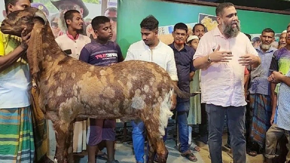 এবার সেই সাদিক এগ্রোতে অভিযান