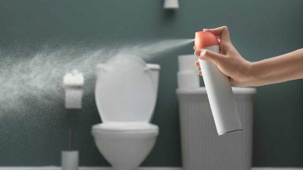 বাথরুমে ঢুকলেই বিশ্রী গন্ধ! কোন উপায়ে সমাধান?