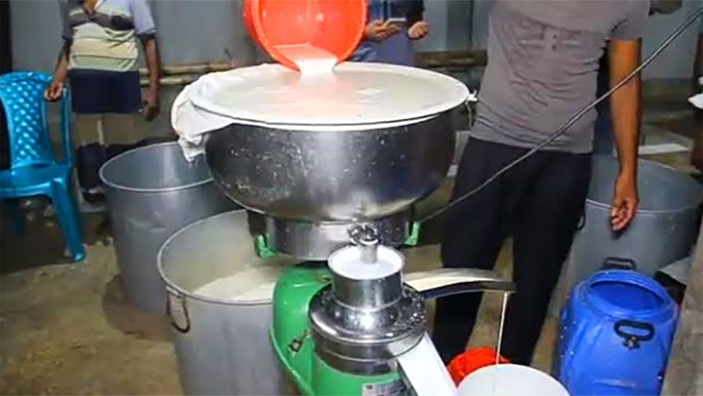 পাবনায় প্রতিদিন বিক্রি হচ্ছে কোটি টাকার খাঁটি দুধের ছানা