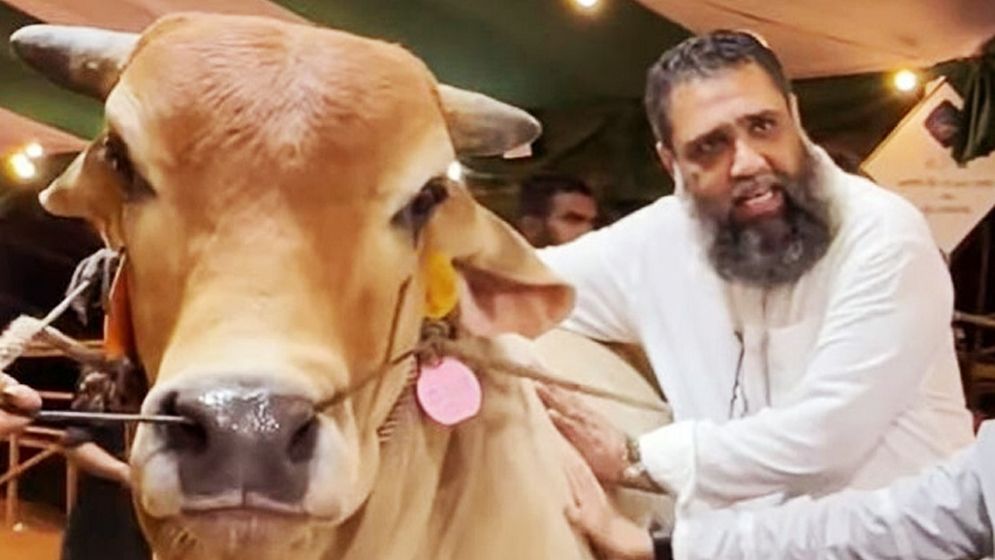সাদিক অ্যাগ্রোর ইমরানসহ সাতজনের বিরুদ্ধে দুদকের মামলা