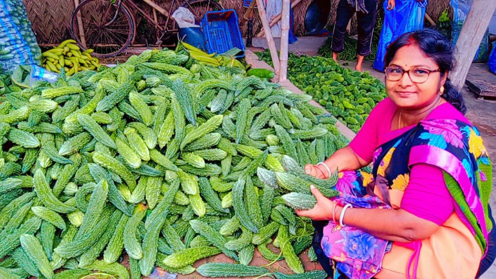 ডুমুরিয়ায় আগাম সবজির বাম্পার ফলন: কৃষকের মুখে হাসি