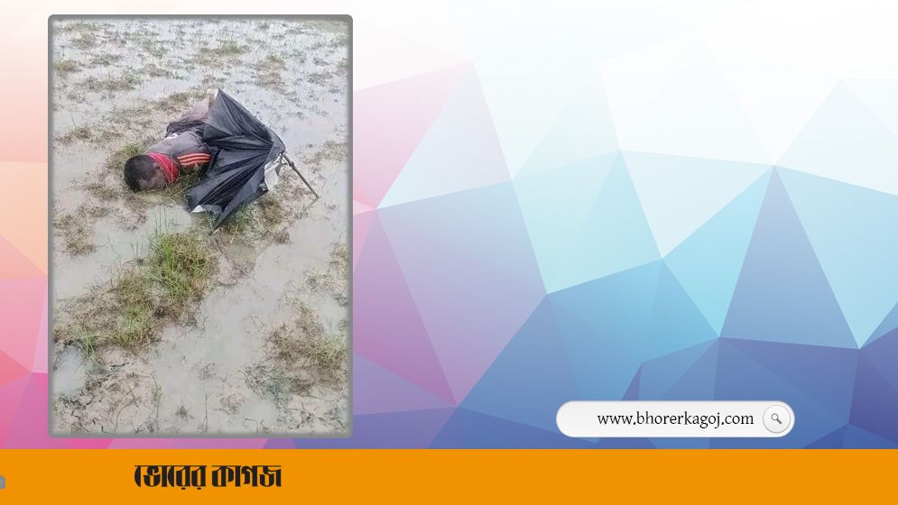 রাঙ্গাবালীতে কৃষি কাজ করতে গিয়ে বজ্রপাতে কৃষকের মৃত্যু