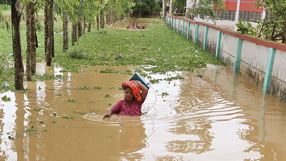 জামায়েত ও বন্যার দায় নিয়ে যা জানাল ভারত