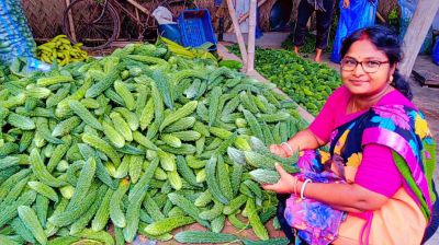 ডুমুরিয়ায় আগাম সবজির বাম্পার ফলন: কৃষকের মুখে হাসি