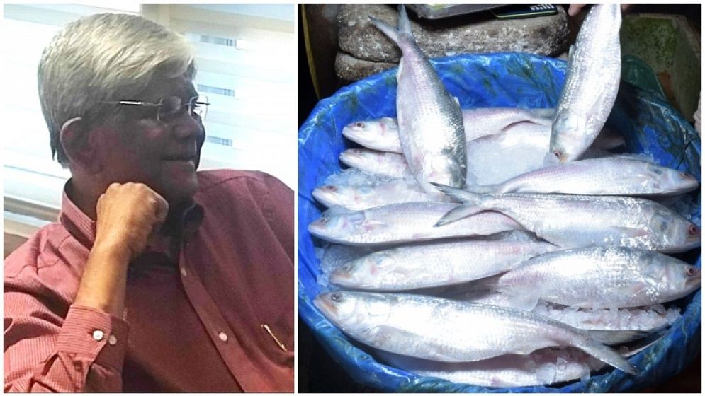 ভারতে ইলিশ রপ্তানি প্রসঙ্গে অর্থ উপদেষ্টা: ইমোশনাল কথা বলে লাভ নেই