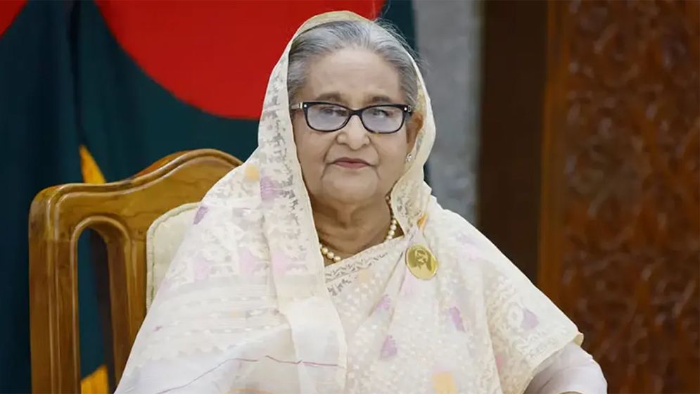 শেখ হাসিনার পাসপোর্ট বাতিল, বাংলাদেশের হাতে তুলে দেবে কী ভারত? যা বললেন বিশেষজ্ঞরা