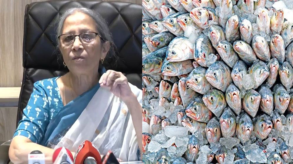 ‘ভারতে ইলিশ রপ্তানি নিয়ে কমিটমেন্ট আগের মতোই আছে’