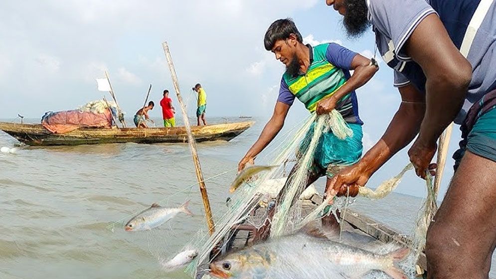 ইলিশ ধরা বন্ধ থাকবে ২২ দিন