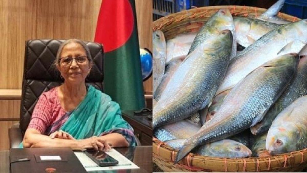 ভারতে ইলিশ রপ্তানির সিদ্ধান্তের ব্যাখ্যা দিলেন উপদেষ্টা