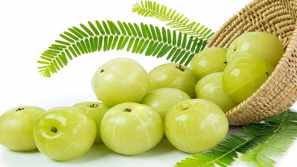 আমলকি খেলে ওজন কমে!