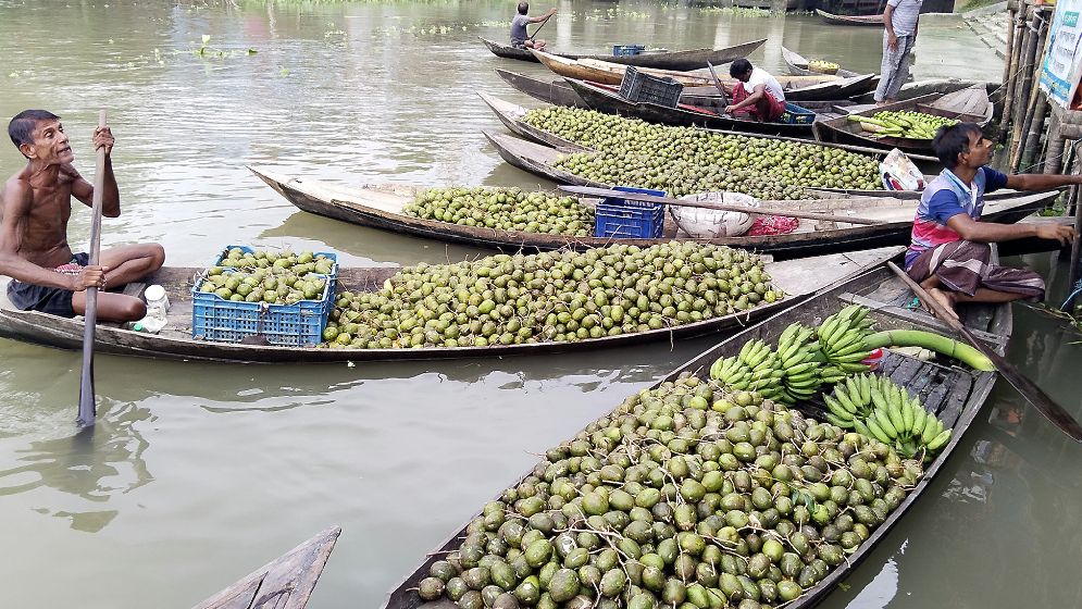 দেশ সেরা ঝালকাঠির আমড়া, যাচ্ছে বিদেশেও!