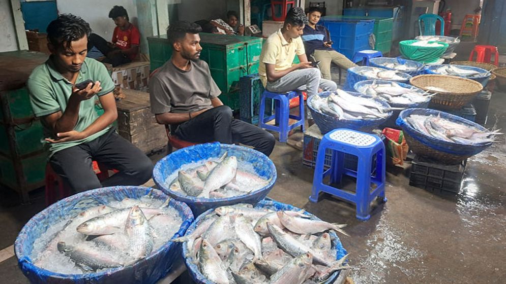 ইলিশের দাম বেড়েছে ৩ গুণের বেশি