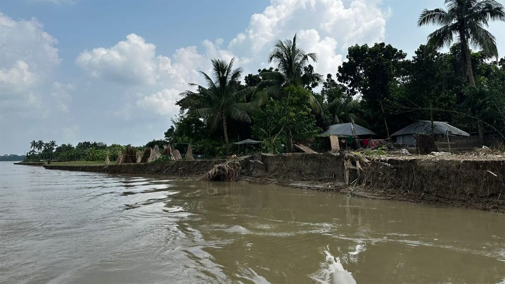 মধুমতির ভয়াবহ ভাঙনে শতাধিক ঘরবাড়ি ও ফসলি জমি বিলীন