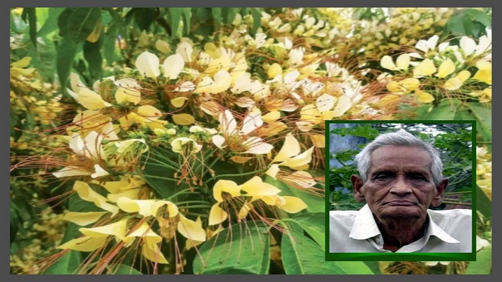 বরুনের অপ্রতিরোধ্য সম্ভাবনার প্রতীক্ষায় হাওরের ভাসান পানিতে নায্যতার স্বপ্ন