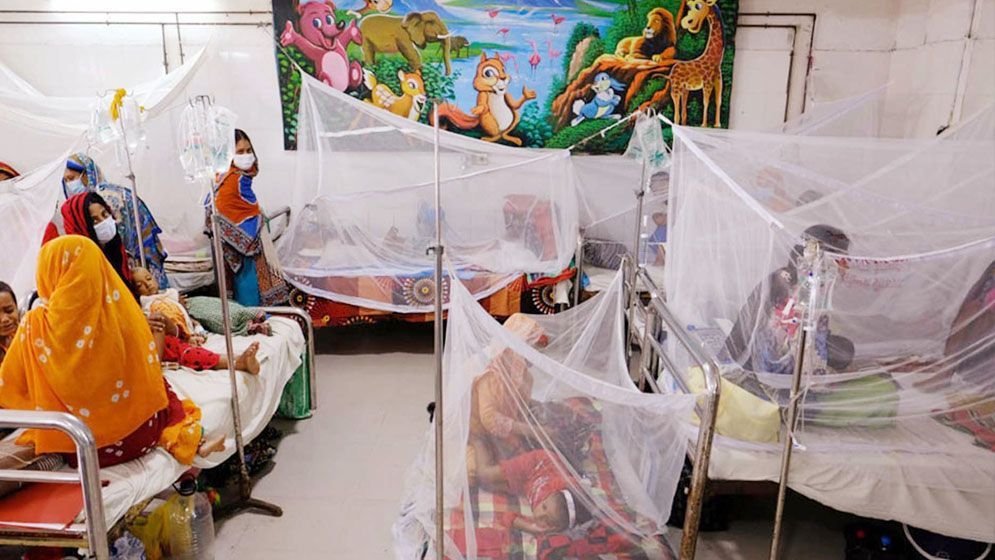 ডেঙ্গু কেড়ে নিলো সর্বোচ্চ ১১ প্রাণ, হাসপাতালে ১০৭৯