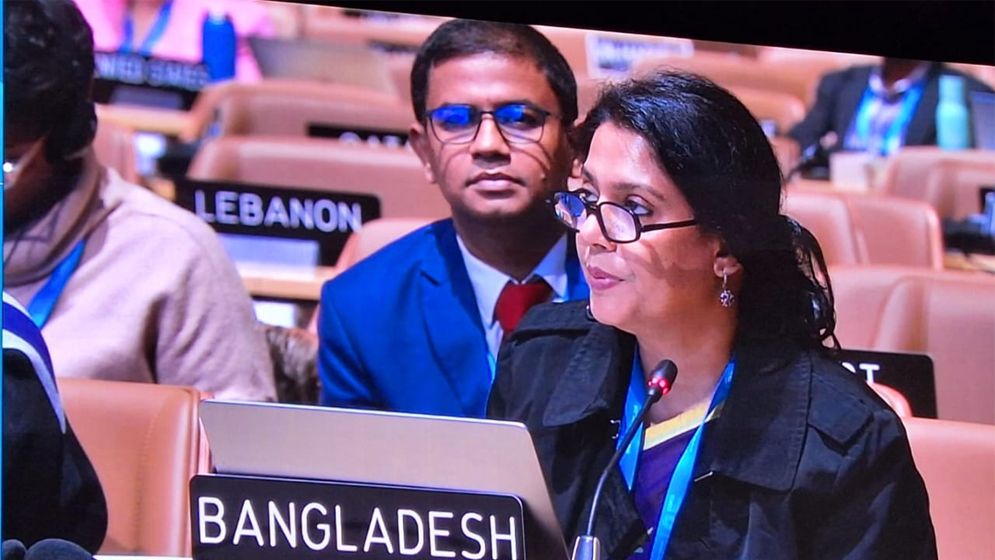 কপ ২৯ এ অনুদানভিত্তিক অর্থ বরাদ্দের আহ্বান জানিয়েছেন পরিবেশ উপদেষ্টা