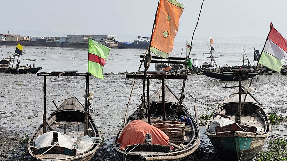 মধ্যরাতে উঠে যাচ্ছে ইলিশ ধরার নিষেধাজ্ঞা