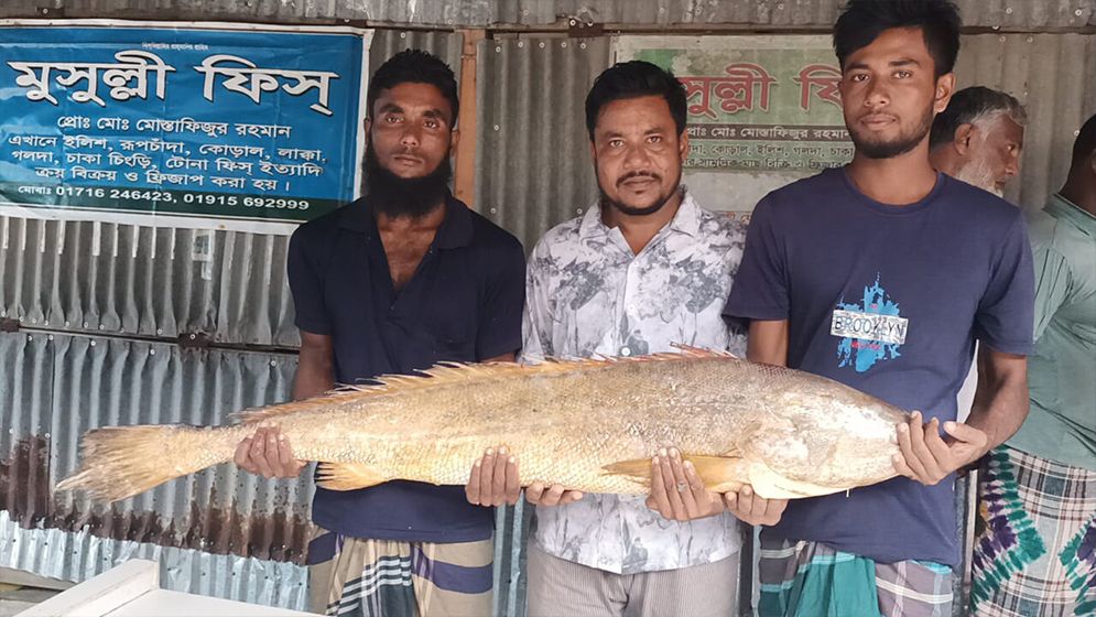 ১৪ কেজি ওজনের পোয়া মাছ সাড়ে ১০ হাজার টাকা