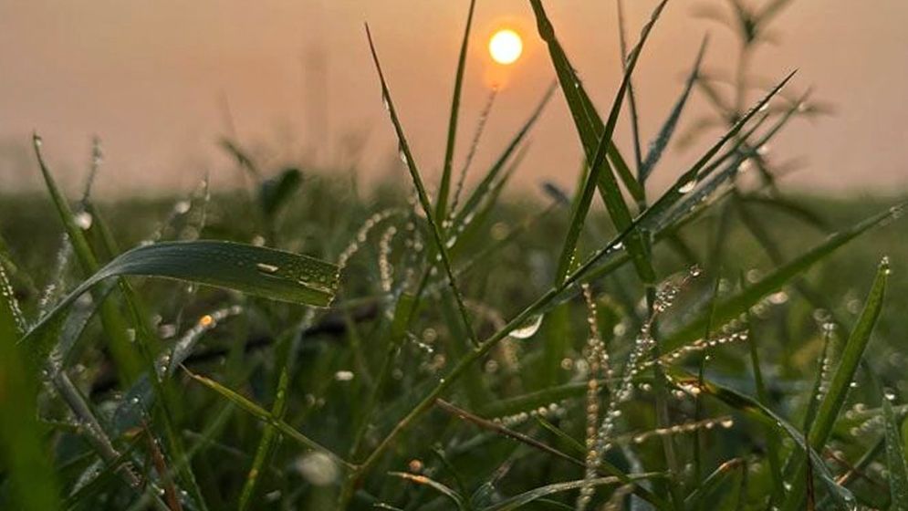শীতের সকালের বাতাস কি স্বাস্থ্যকর?