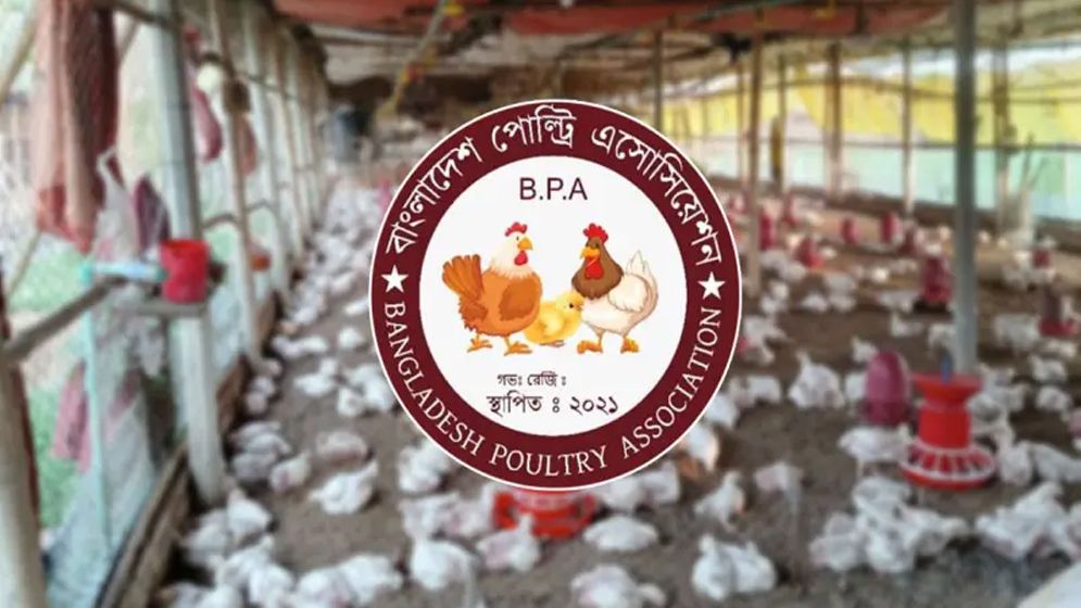 মুরগির বাচ্চায় ৭২০ কোটি টাকা লুটপাট: বিপিএ