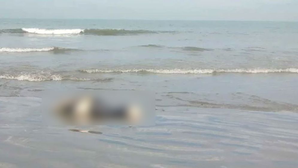 সৈকত থেকে হাত-পা বাঁধা যুবকের লাশ উদ্ধার