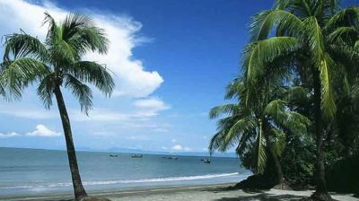 সেন্টমার্টিন নিয়ে বিভিন্ন উদ্যোগ