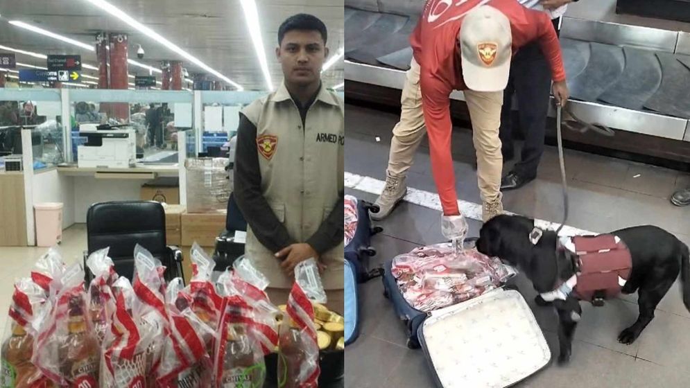 শাহজালাল বিমানবন্দরে ৩১ বোতল মদ জব্দ করল কুকুর