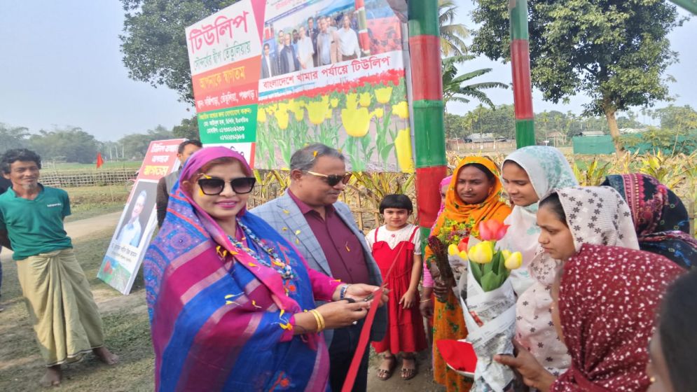 তেঁতুলিয়ায় টিউলিপ বাগানের আনুষ্ঠানিক উদ্বোধন