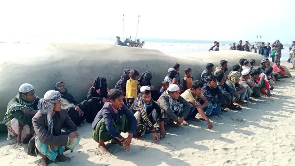 অনুপ্রবেশ করা ৩৬ রোহিঙ্গা বিজিবি হেফাজতে