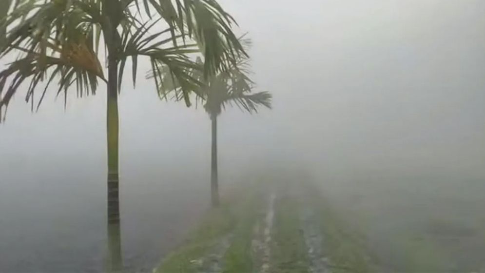 নেই সূর্যের দেখা, তীব্র শীতে কাঁপছে দিনাজপুর