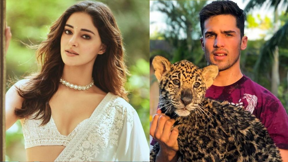 শীঘ্রই বিয়ে করছেন অনন্যা পাণ্ডে, পাত্র আম্বানির কর্মচারী!