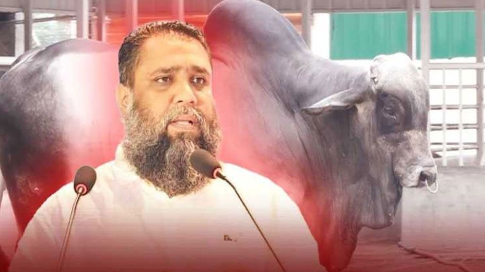 সাদিক অ্যাগ্রোর মালিকের ২৭ ব্যাংক অ্যাকাউন্ট জব্দ
